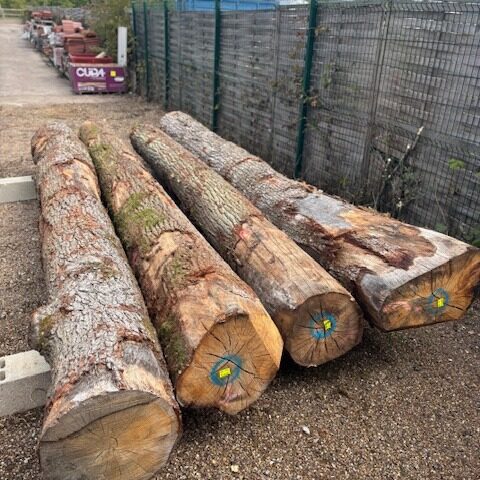 Grumes de bois brut réceptionnées en Normandie – matières premières locales pour menuiserie et charpente artisanale